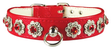 Leather Brothers Majestic Starburst Dog Collar